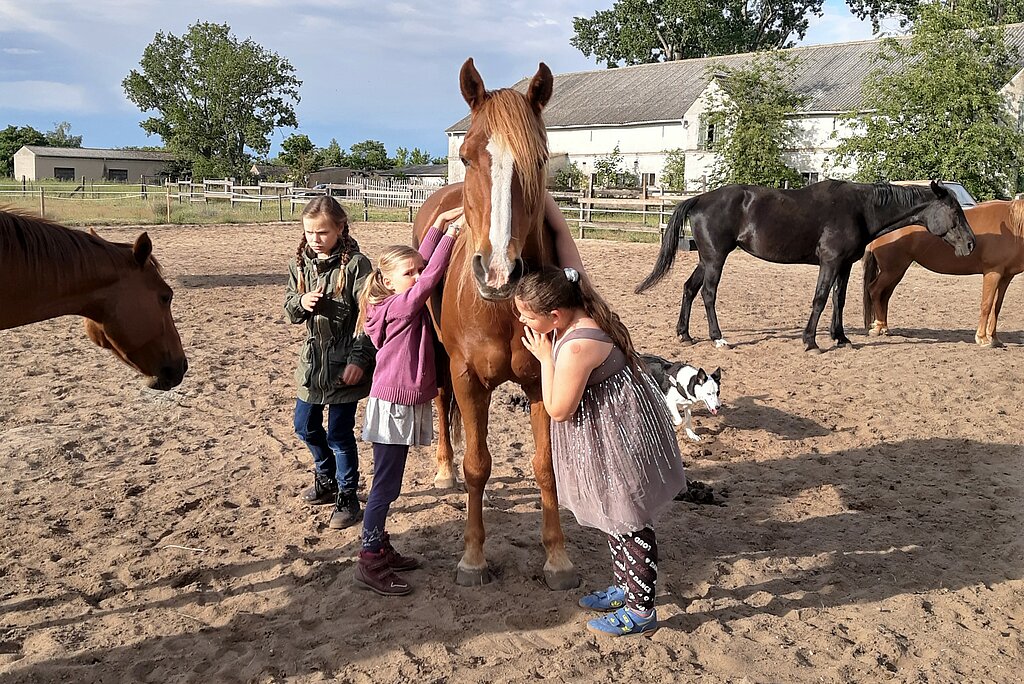 Drei Mädchen mit langen Haaren bei der Therapie mit Pferden sowie einem Hund im Paddock © SCC EVENTS / Björn Schulz Stiftung